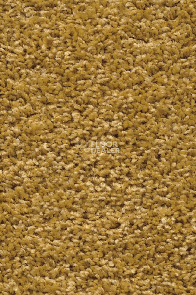 Ковролин AW Devotion 50 фото 1 | FLOORDEALER